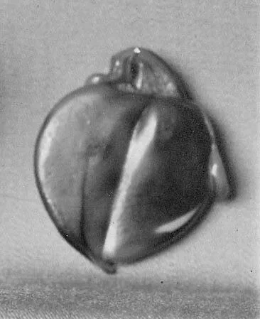 Glass pendant, qing dynasty, 3.5 cm high.