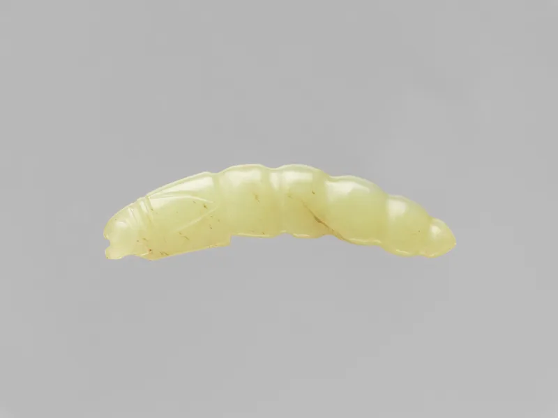 Jade (nephrite) pendant, in the shape of a silk worm, shang and zhou dynasties, 4.8 cm long.